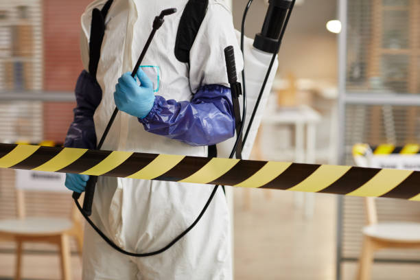 Professional Sewage Cleanup technician working in Ripon, CA